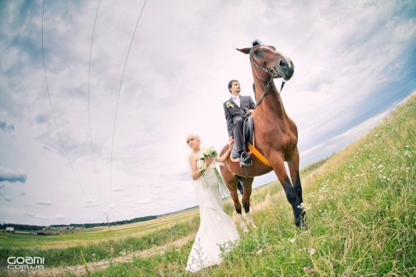 Фотовиставка Діми Goami